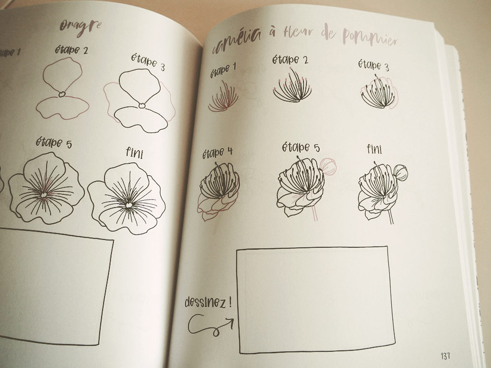 Apprendre à dessiner : les livres faciles - Les Projets Fantastiques, le  blog de Nelly Glassmann